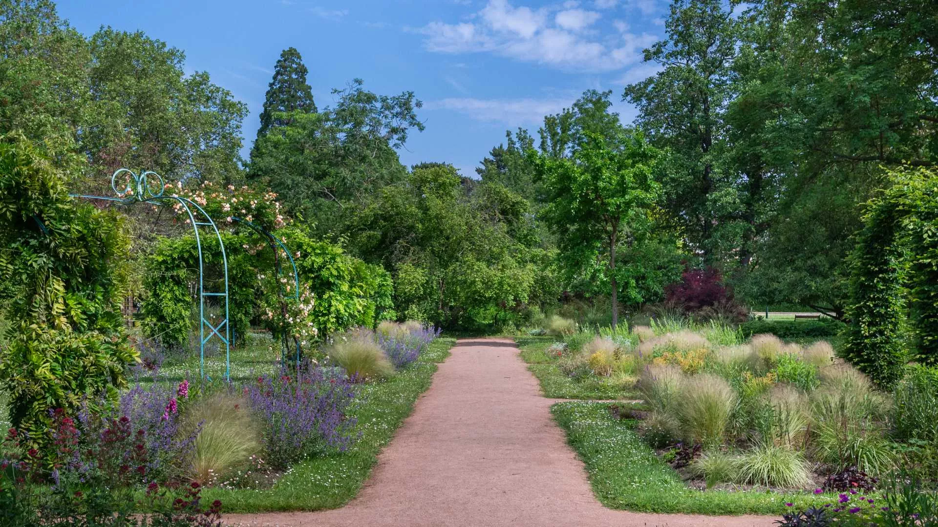 Chemin dans le parc des Ibis au Vésinet, entouré d’une végétation luxuriante et paisible.